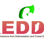 ecmcclient_redd