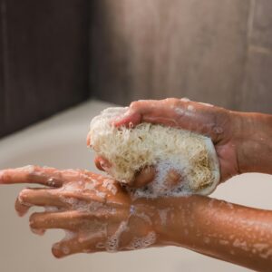 exfoliating net sponge